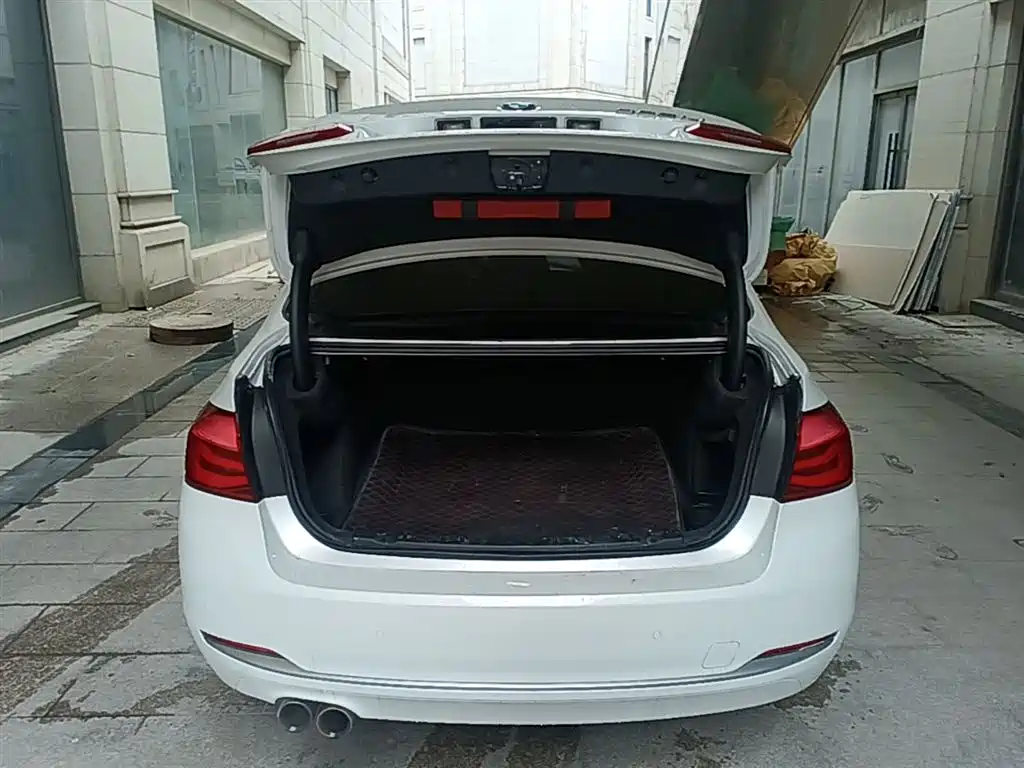 BMW 3 Series 2018 320Li Fashion Style фото 19