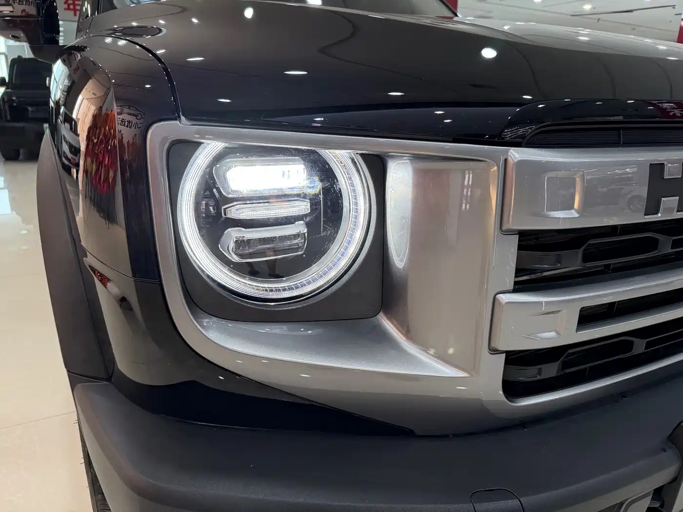 Haval Big Dog 2025 2024 1.5T DCT Border Collie Edition