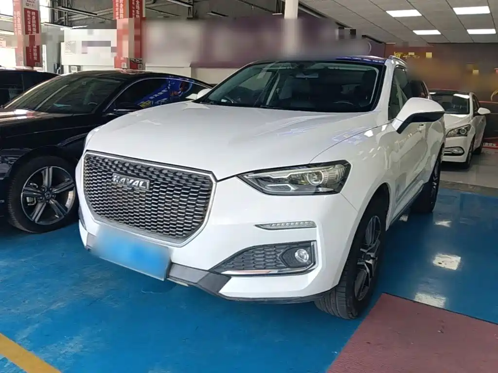 Haval F5 2019 2019 National Trend Edition 1.5T iStyle China VI