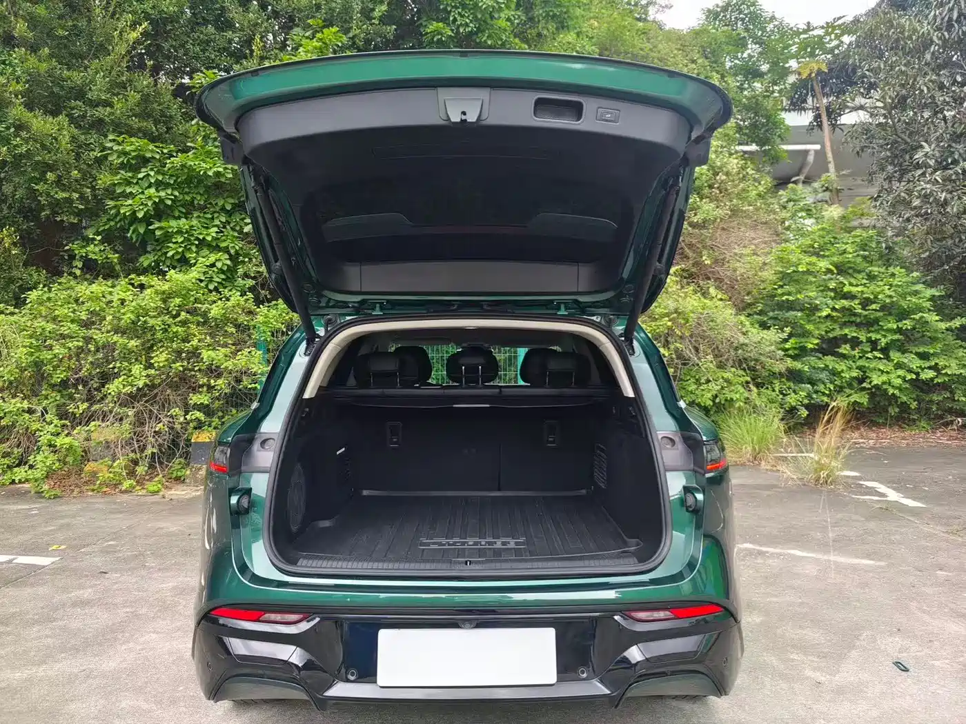 Voyah Auto VOYAH FREE 2024 Ultra Long Range Intelligent Driving Edition фото 7