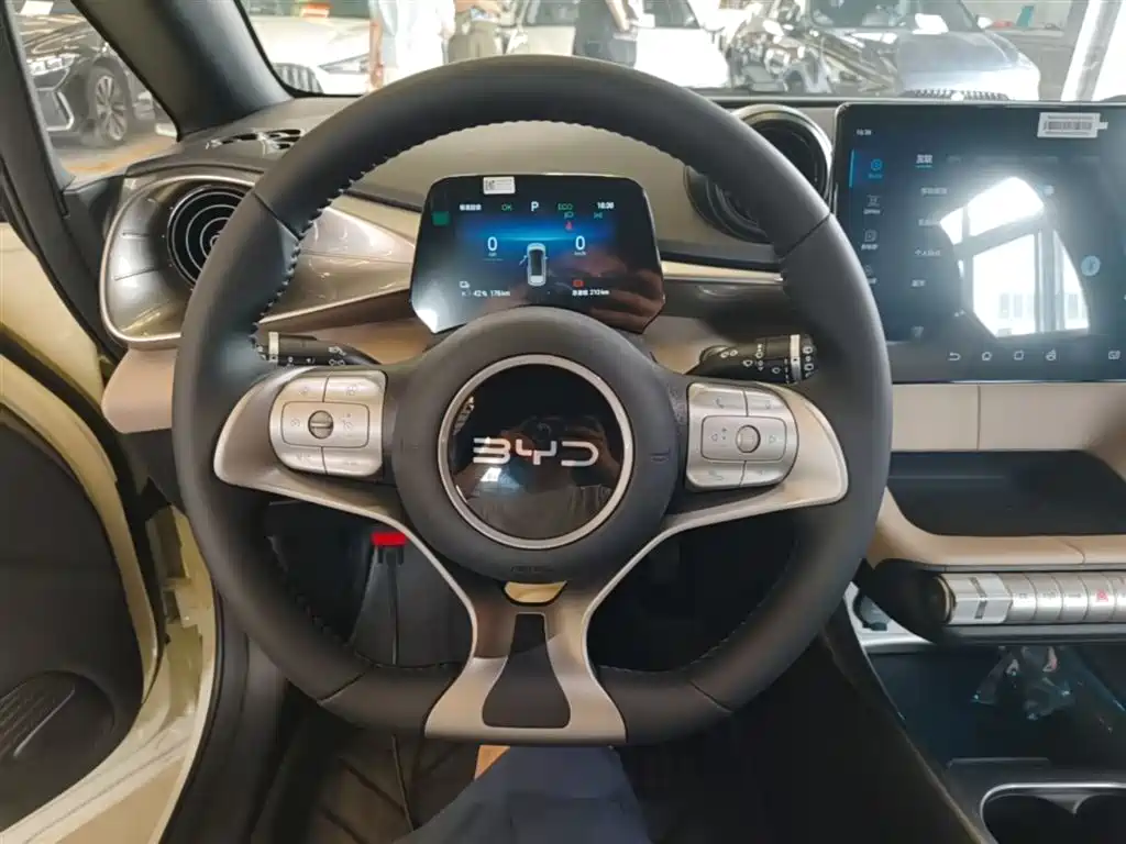 BYD Dolphin 2026 2025 420km Freedom Edition
