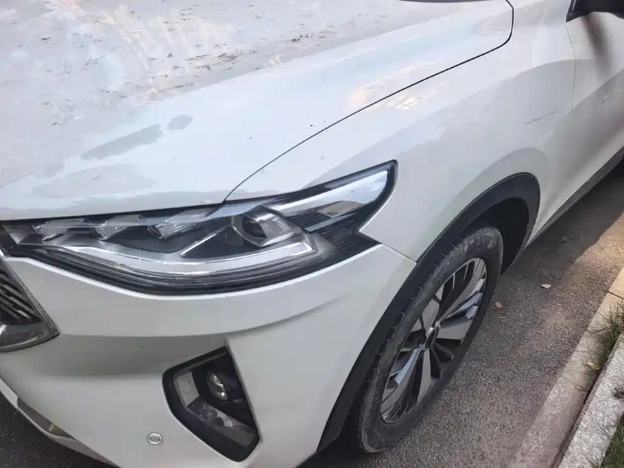 Фото 5 - Haval F7x