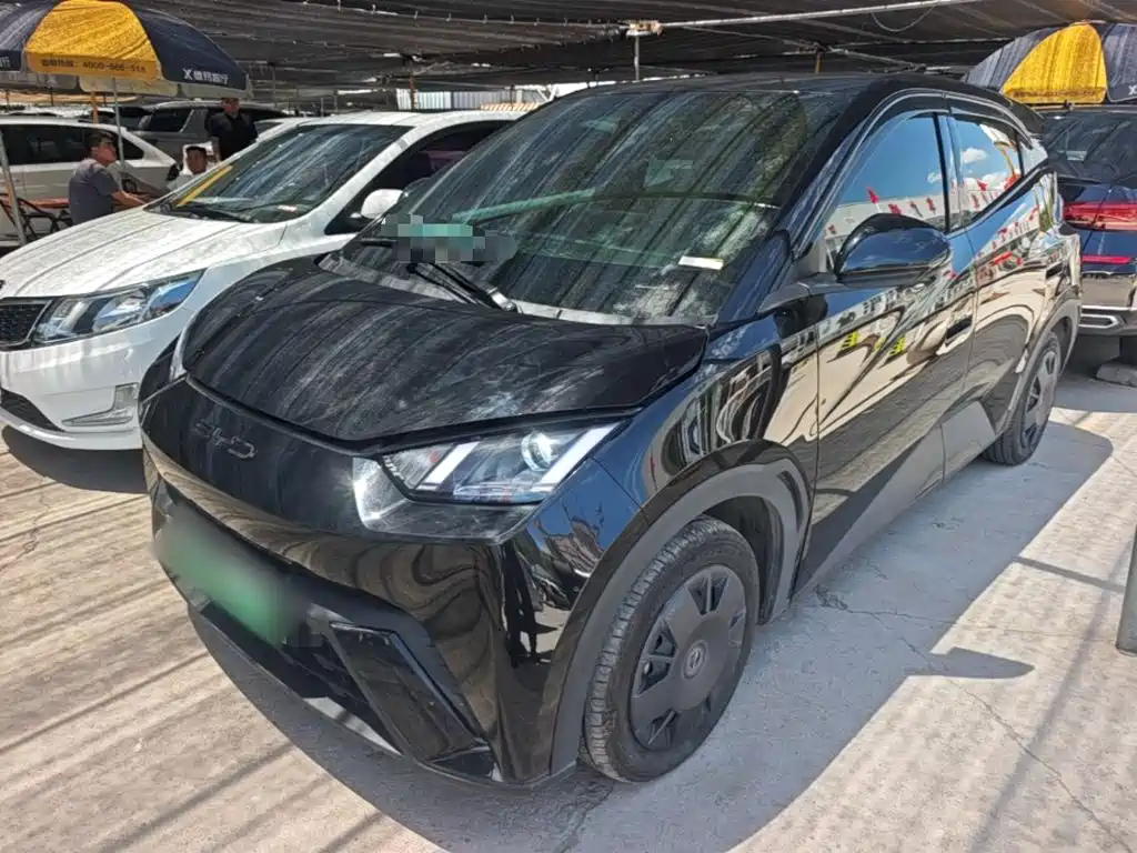 BYD Seagull 2023 Vitality Edition