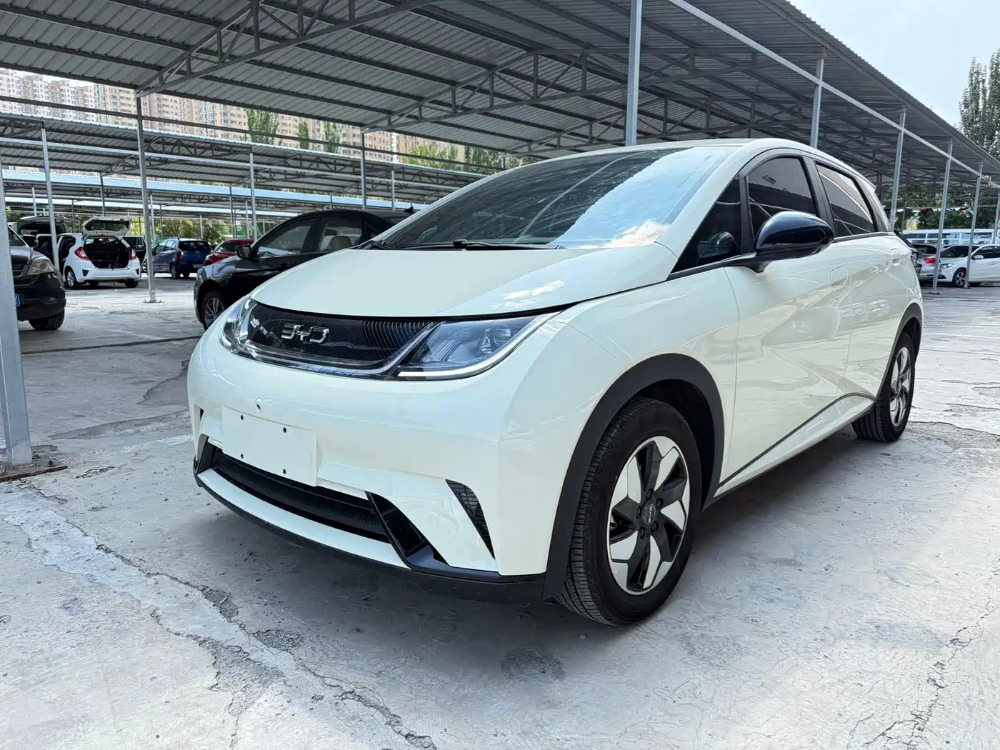 BYD Dolphin 2025