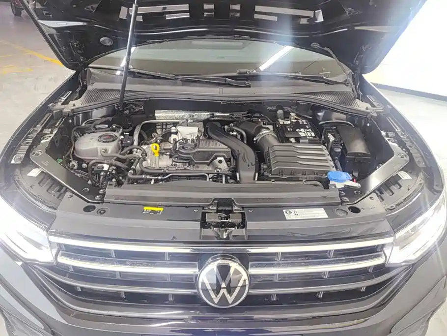 Volkswagen Tiguan L 2025 2025 Model 300TSI Auto 2WD Dragon Edition