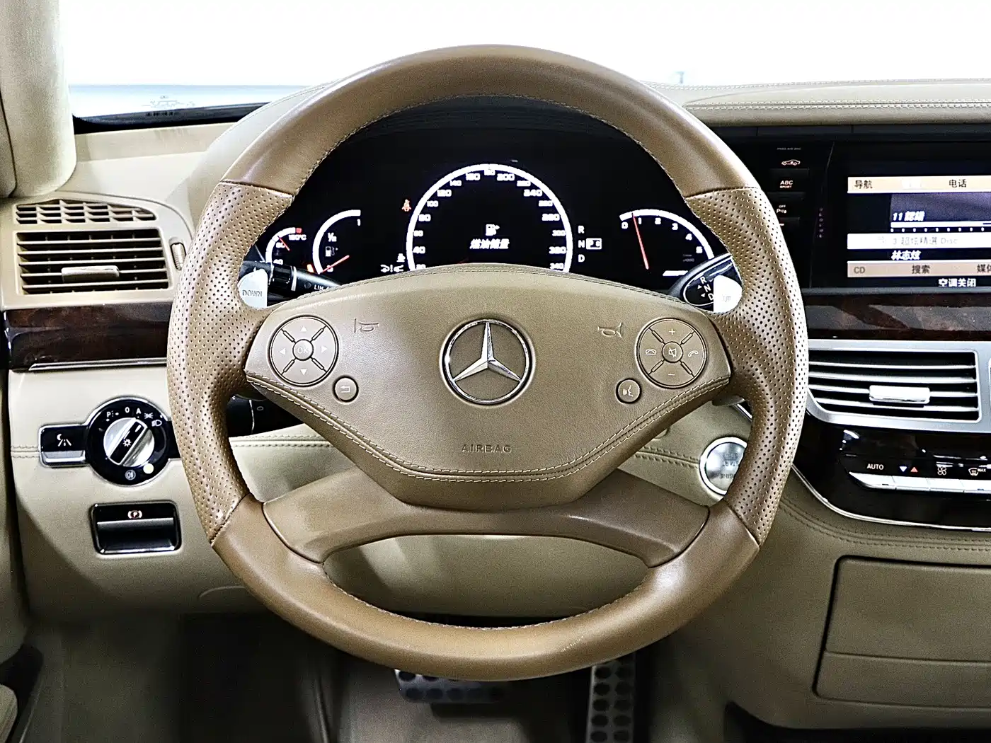 Mercedes-Benz S-Class AMG 2010 AMG S 65 фото 10
