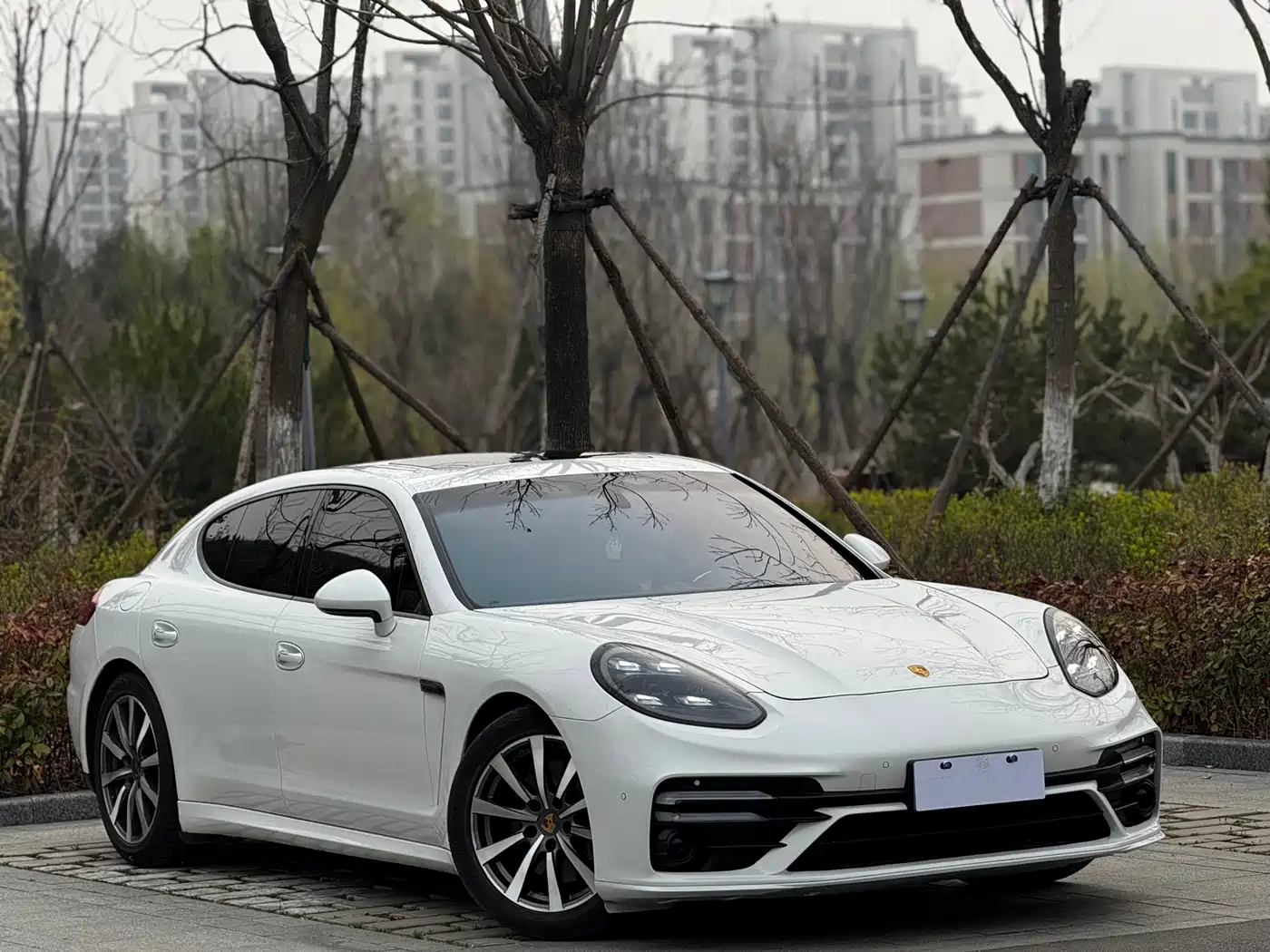 Porsche Panamera 2014 Panamera 3.0T фото 3