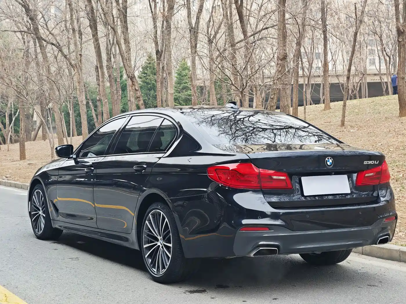 BMW 5 Series 2019 Facelift 530Li Leading M Sport Package фото 4