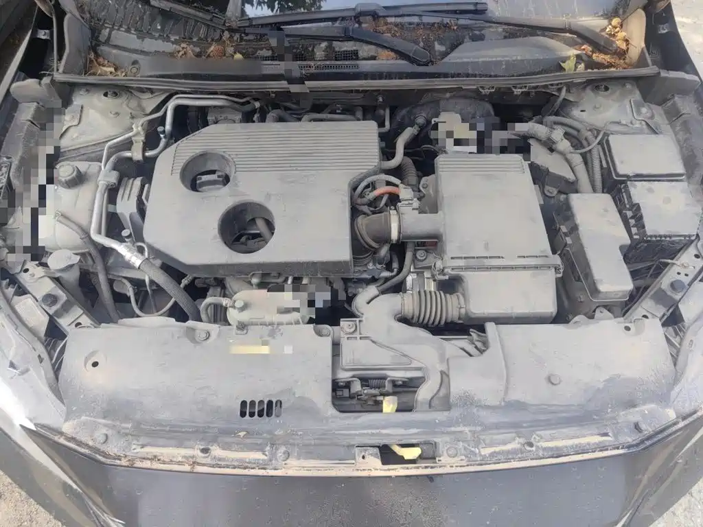 صورة 16 - Nissan Sylphy
