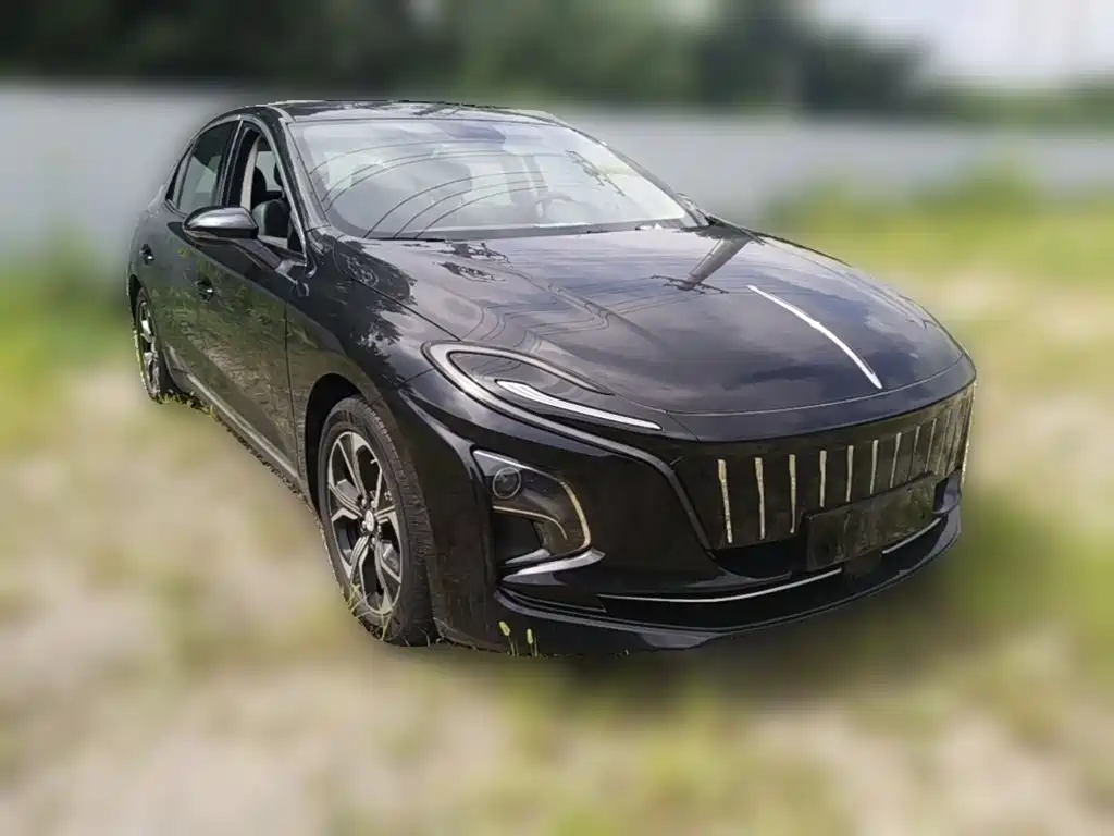 صورة 6 - Hongqi E-QM5