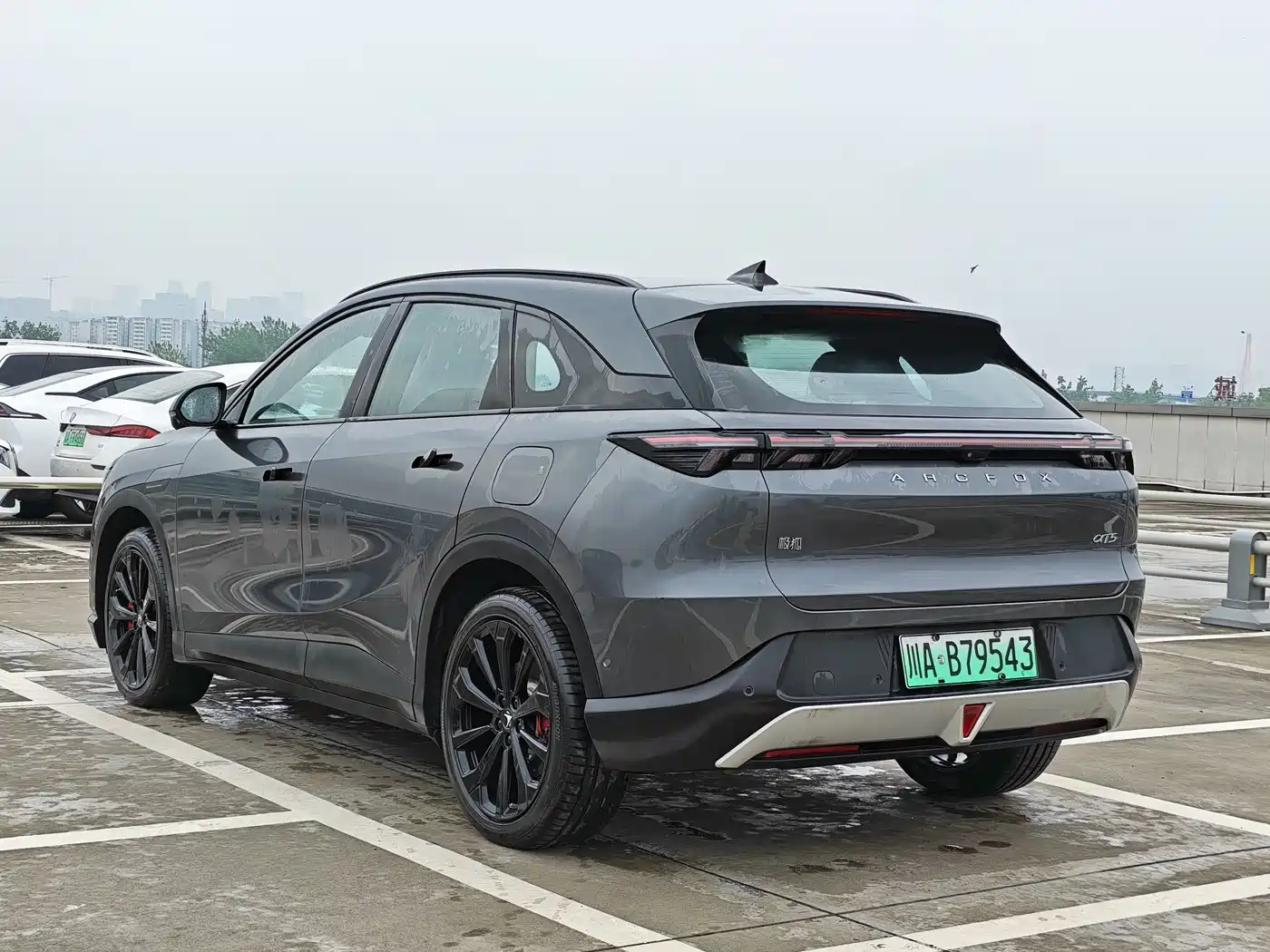 ARCFOX EXTREME FOX POLAR FOX ALPHA T5