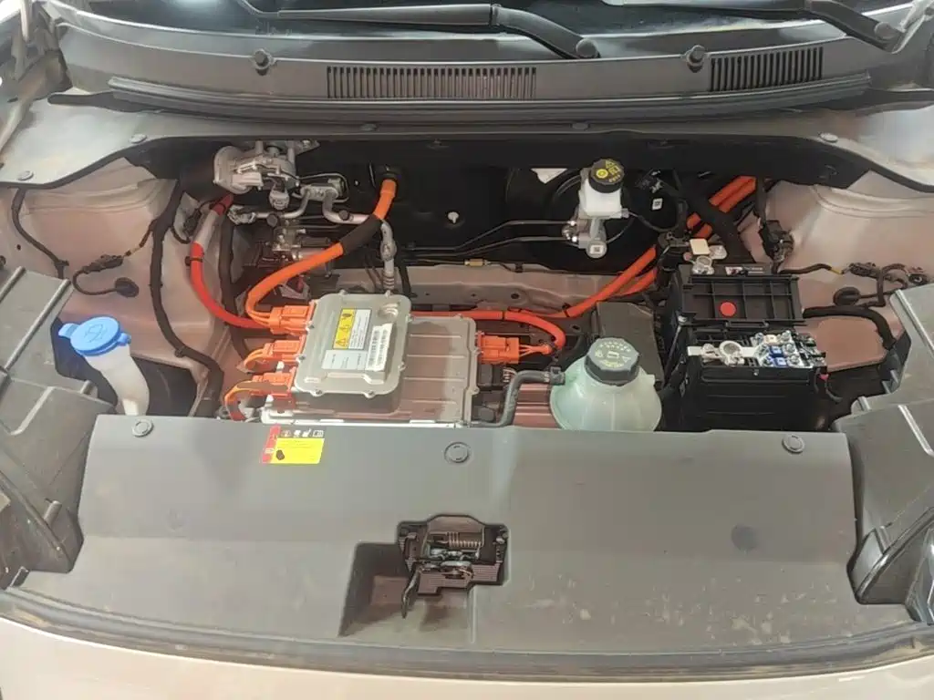 Wuling Motors Wuling Binguo PLUS 2026 2024 401km Range 5-seater