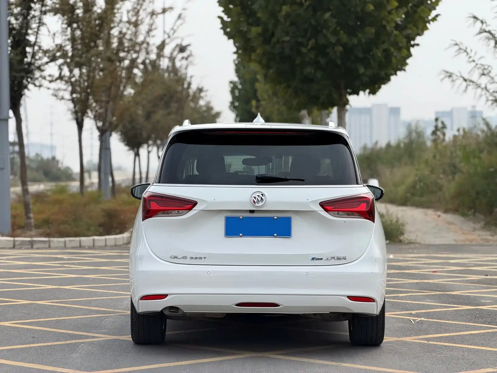 Фото 8 - Buick GL6