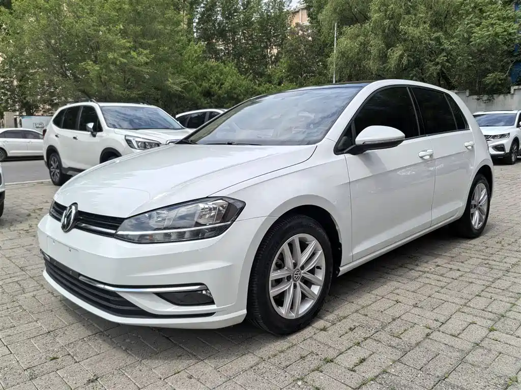 Volkswagen Golf 2019 200TSI DSG Comfort Progressive China VI фото 2