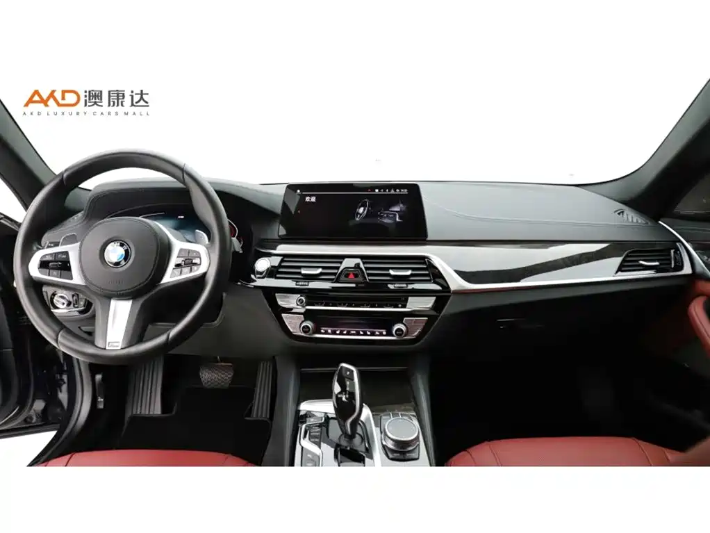 BMW 5 Series 2020 530Li Exclusive M Sport Package фото 5