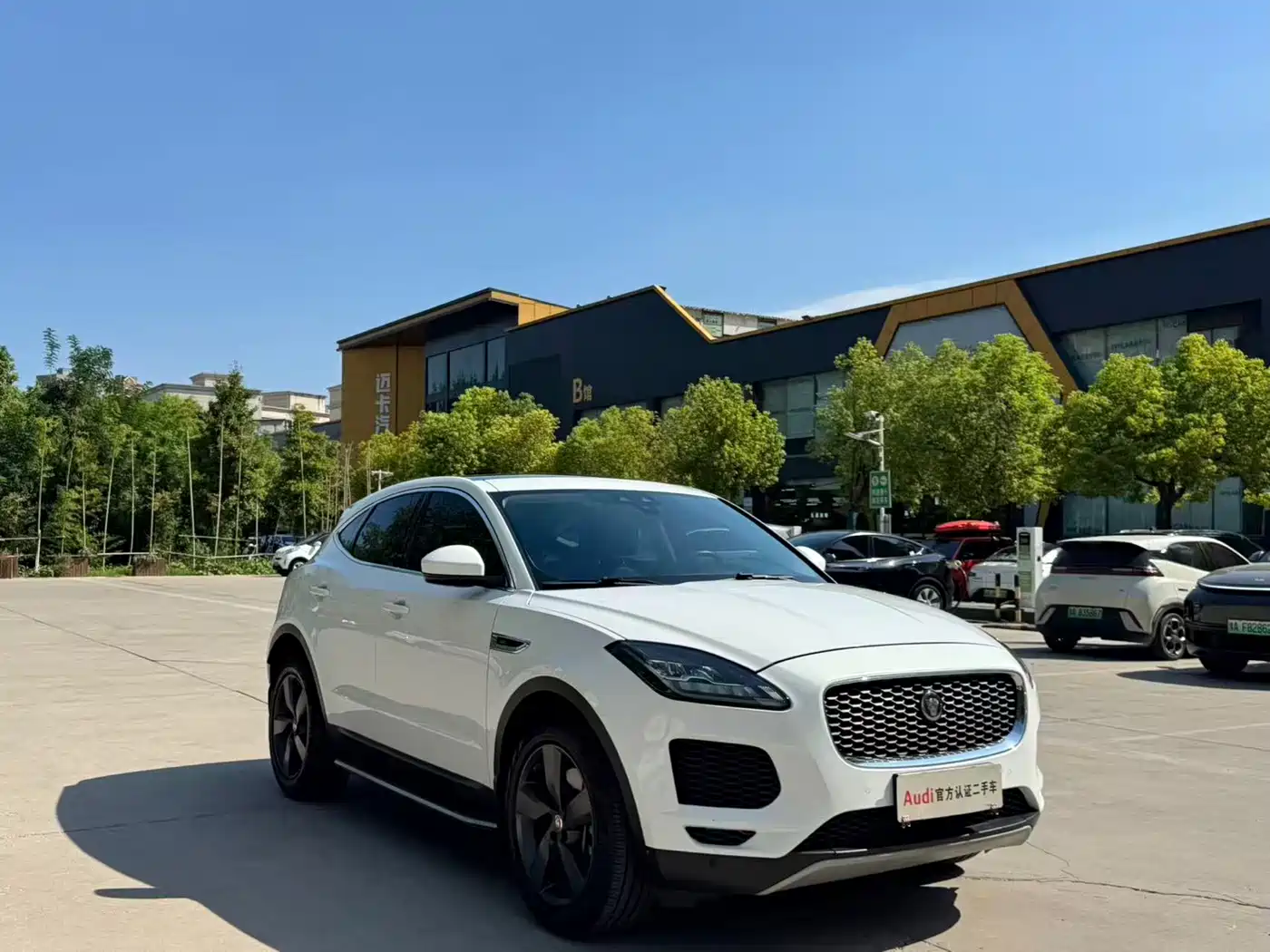 Jaguar E-PACE 2018 2018 P250 SE China V