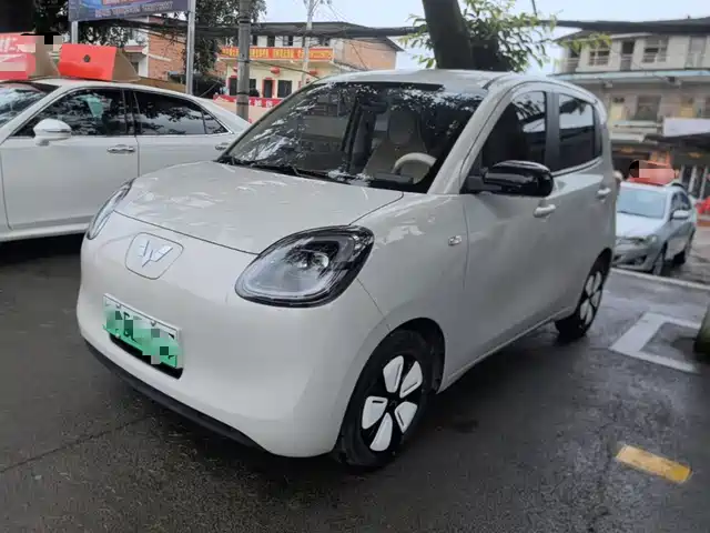  Wuling Motors Hongguang MINIEV 2025 4-Door Advanced