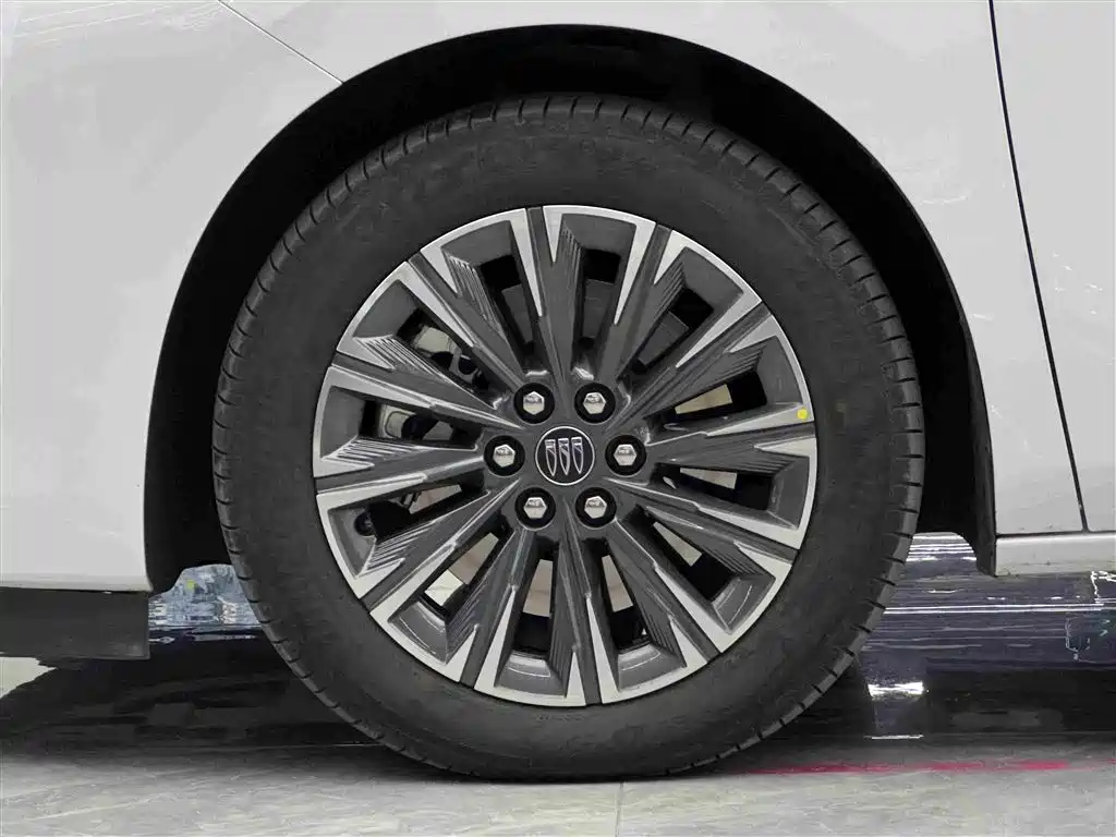 Buick GL8 2025 2025 Land Honor Premium Edition