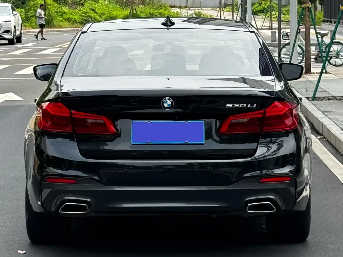 BMW 5 Series 2020 530Li Leading M Sport Package фото 17