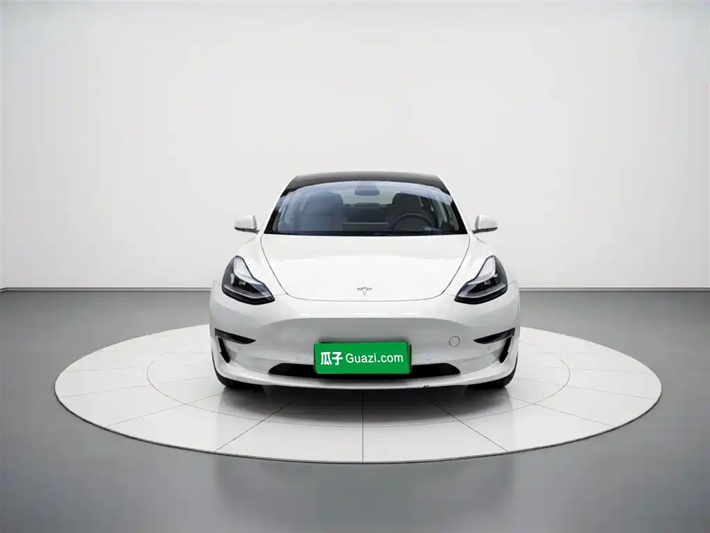 Tesla Model 3 (Import) 2019 2019 Long Range RWD Version