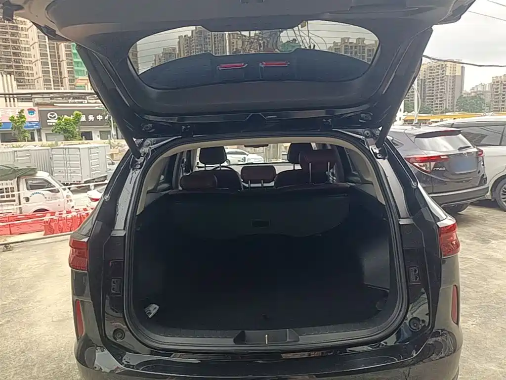 Haval H6 2021 Model 3rd Generation 2.0T Auto AWD Supreme+ фото 19
