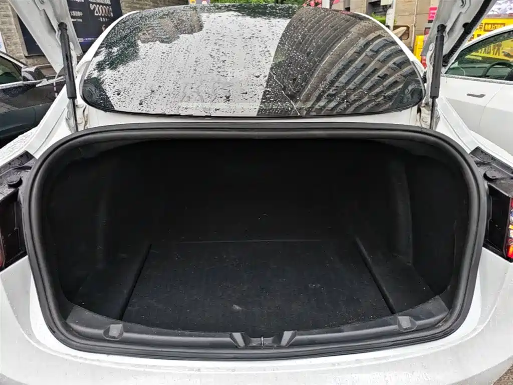 TESLA MODEL 3 (IMPORTED)