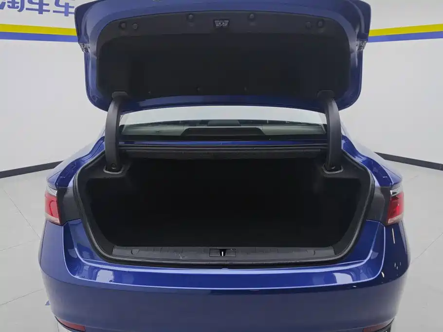 Фото 4 - Geely Borui