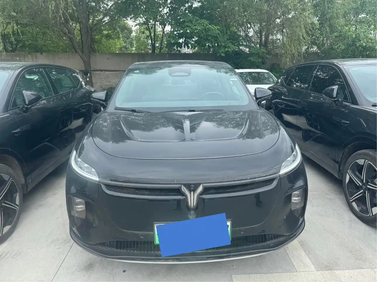 Voyah Auto Voyah Zhiyin 2024 Long Range Super Charging Edition фото 2
