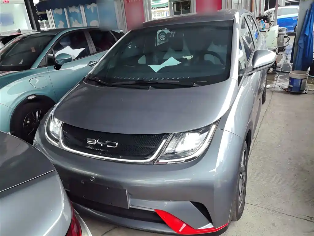 BYD Dolphin 2021 405km Freedom Edition