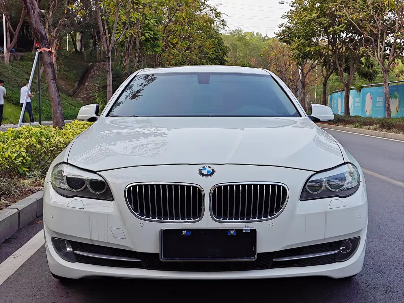 BMW 5 Series 2013 530Li Luxury фото 2