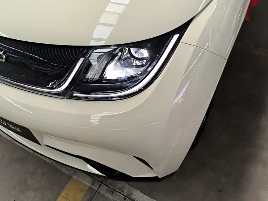 BYD Dolphin 2026 2025 420km Freedom Edition