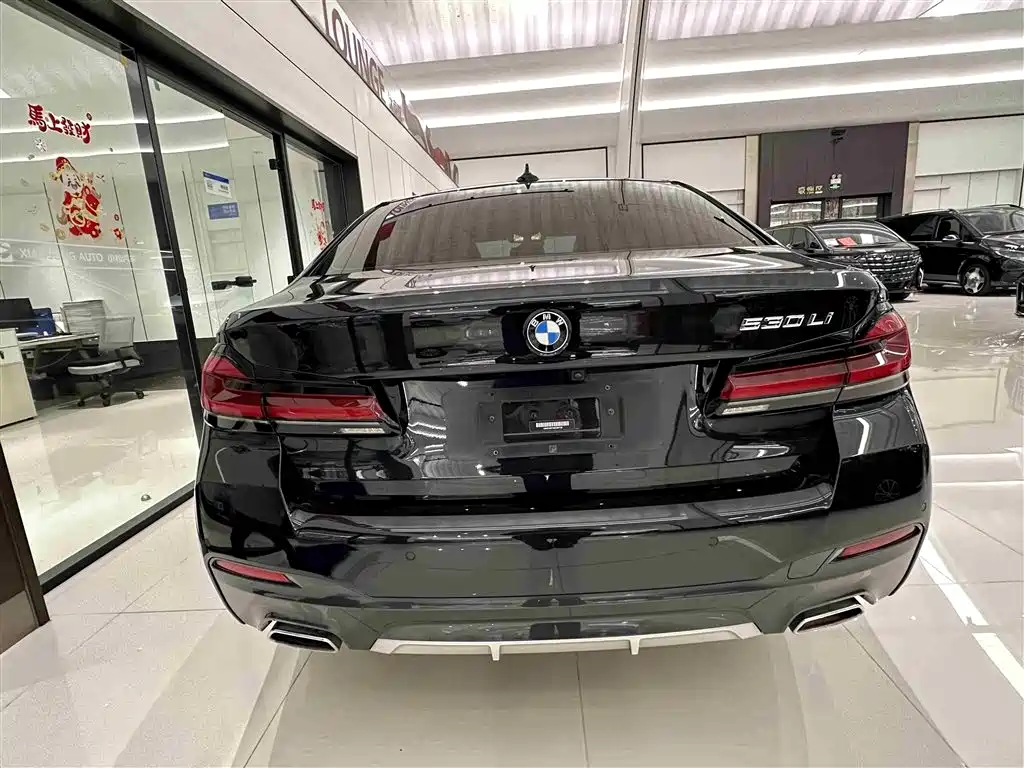 BMW 5 Series 2021 530Li Premium M Sport Package фото 13