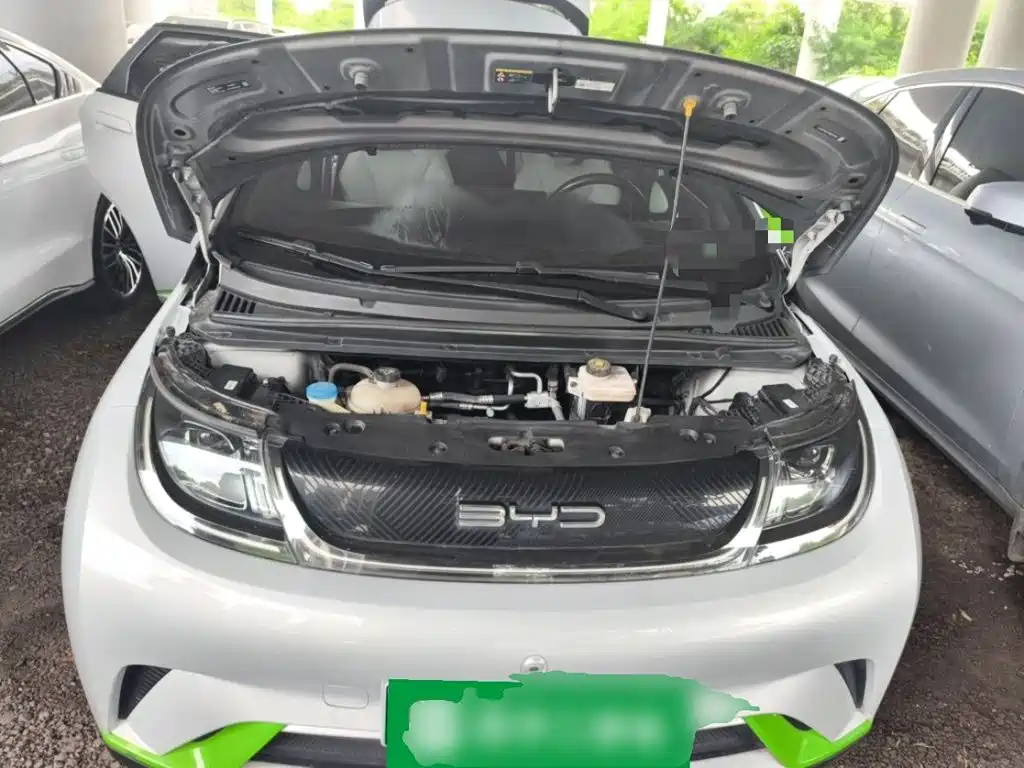 BYD Dolphin 2021 2021 Model 405km Fashion Edition