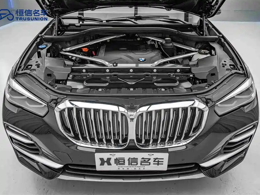 BMW X5 (Import) 2020 xDrive30i X Design Package фото 21