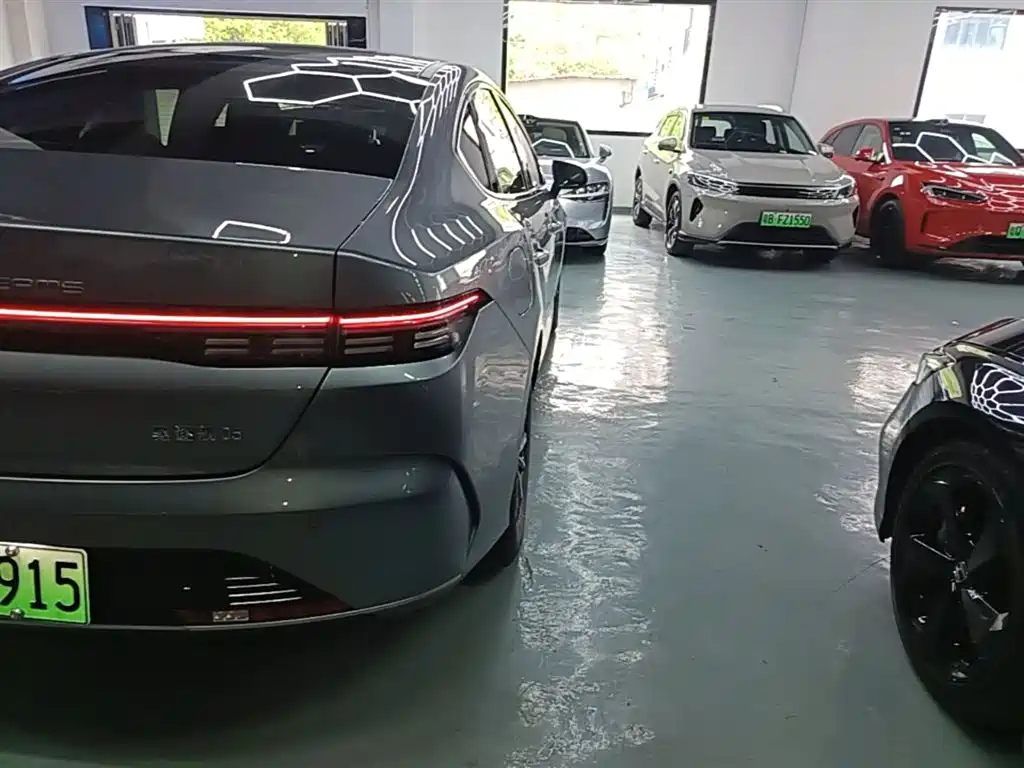 BYD Destroyer 05 2024 Glory Edition DM-i 55KM Luxury фото 8