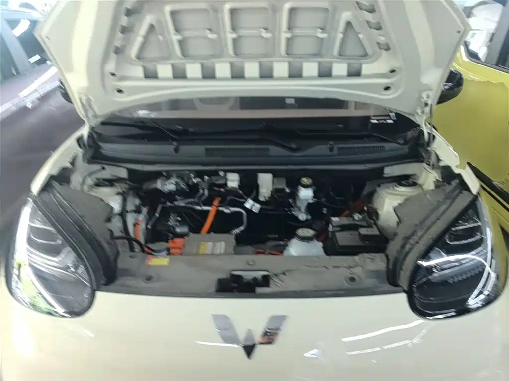 Wuling Motors Wuling Bingo 2026 2025 Model 333km Joy Edition