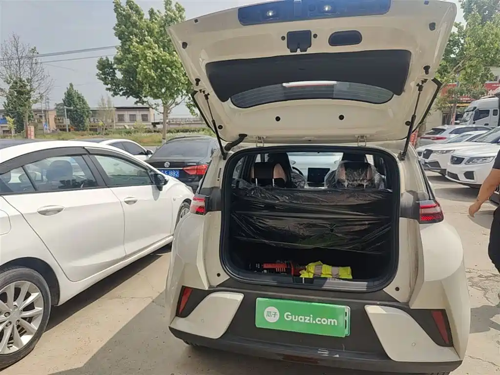 BYD Seagull 2025 Smart Drive Edition 305km Vitality Version фото 19