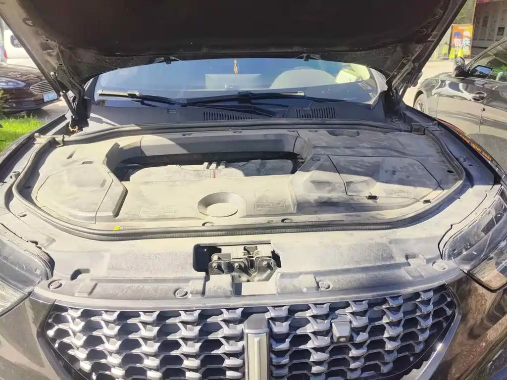 WEY VV5 2020 2020 1.5T 2WD Smart Pioneer