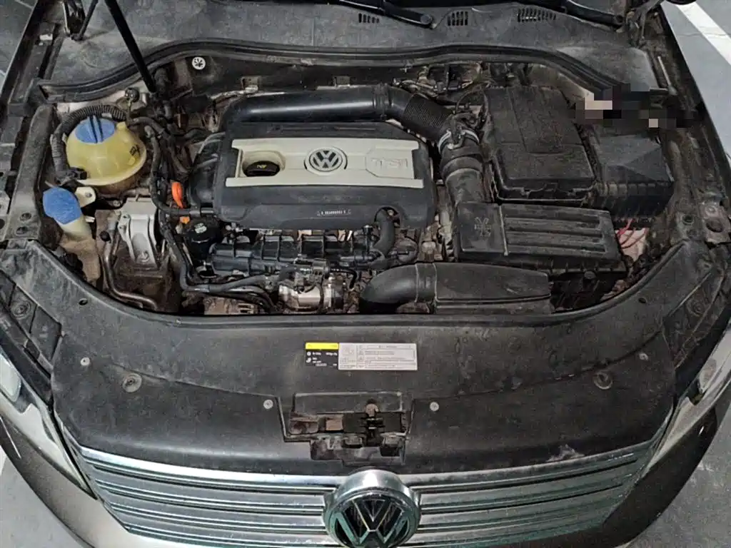 Volkswagen Magotan 2013 1.8TSI Luxury фото 11