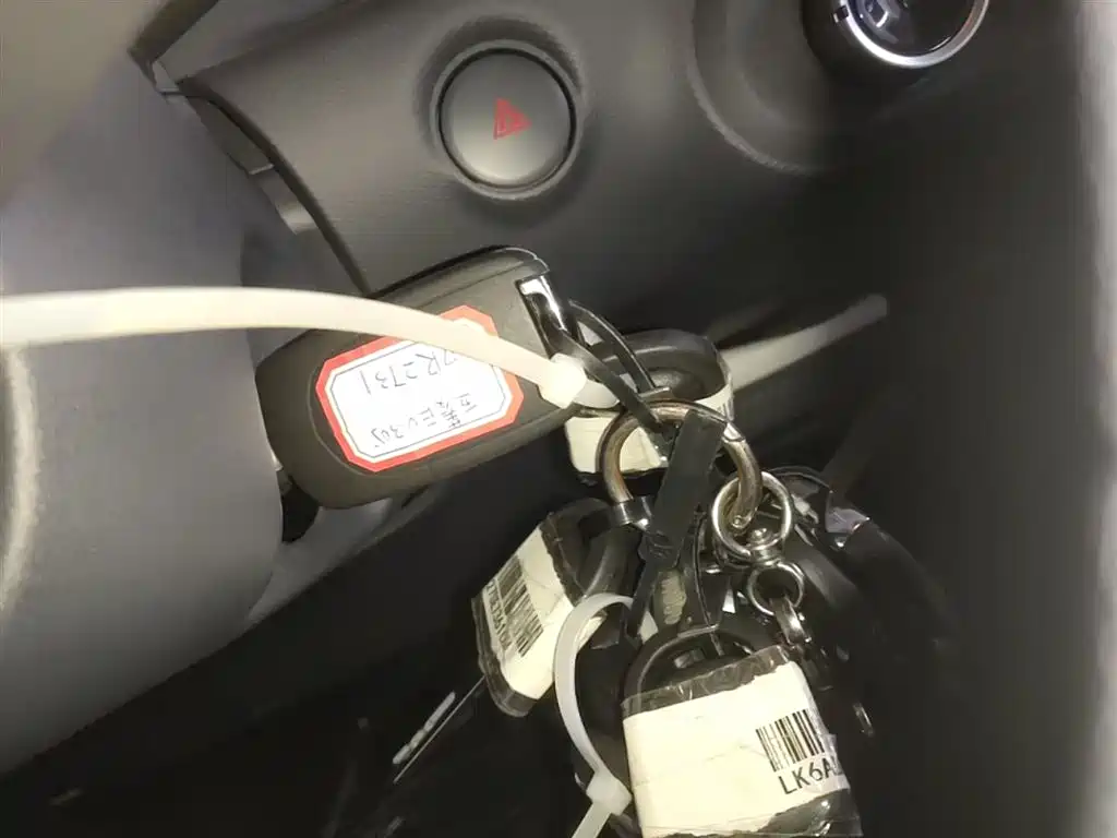 Wuling Motors Wuling Zhiguang NEV 2026 2025 Model 305km Base Version