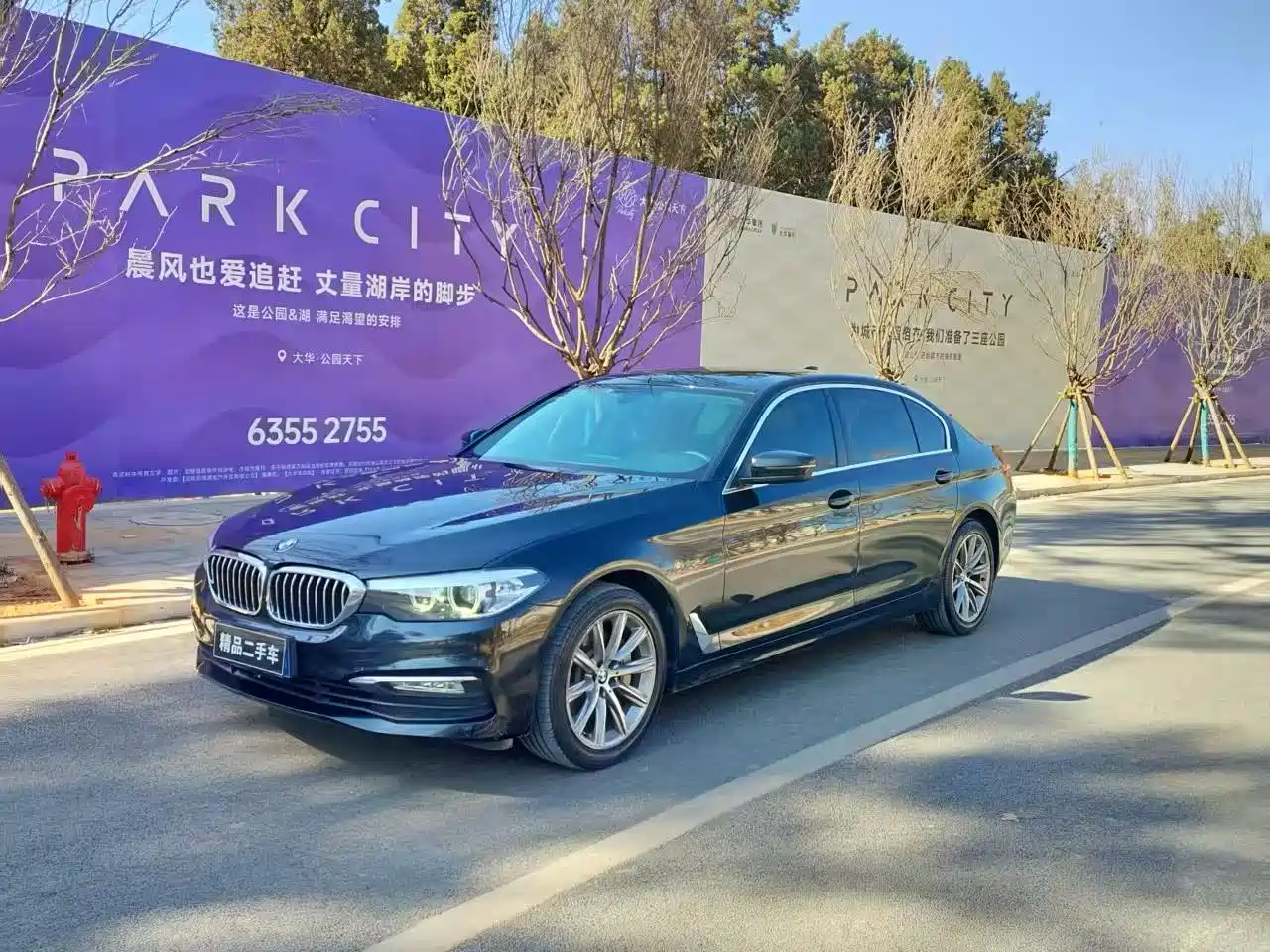 BMW 5 Series 2018 528Li Launch Special Edition