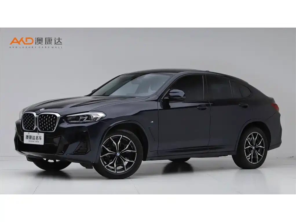 BMW X4 2024 2021 xDrive 25i M Sport Package
