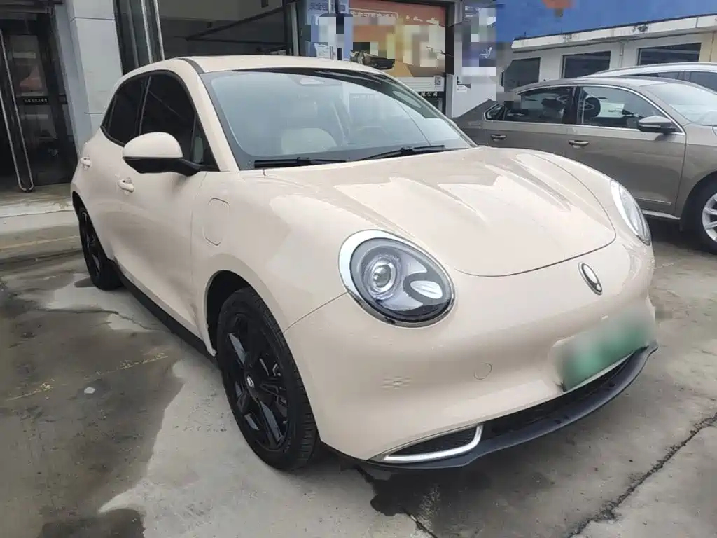Ora Good Cat 2024 2024 401km Luxury