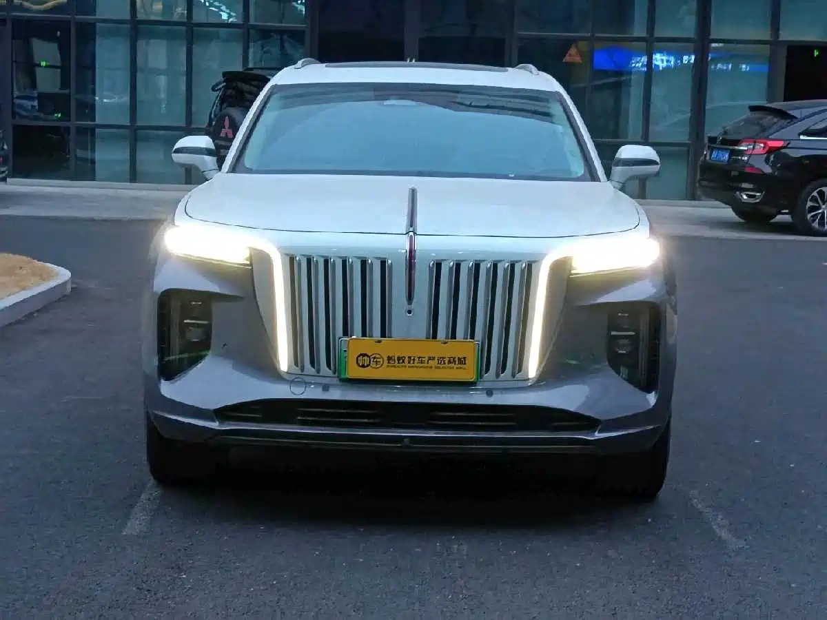 Hongqi E-HS9 2022 660km Qi Ling Edition (4-seater) фото 9