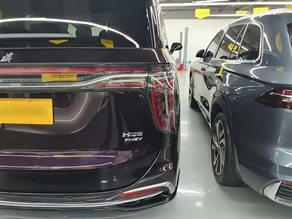 Hongqi HQ9 PHEV 2024 Model 2.0T AWD Luxury Edition фото 8