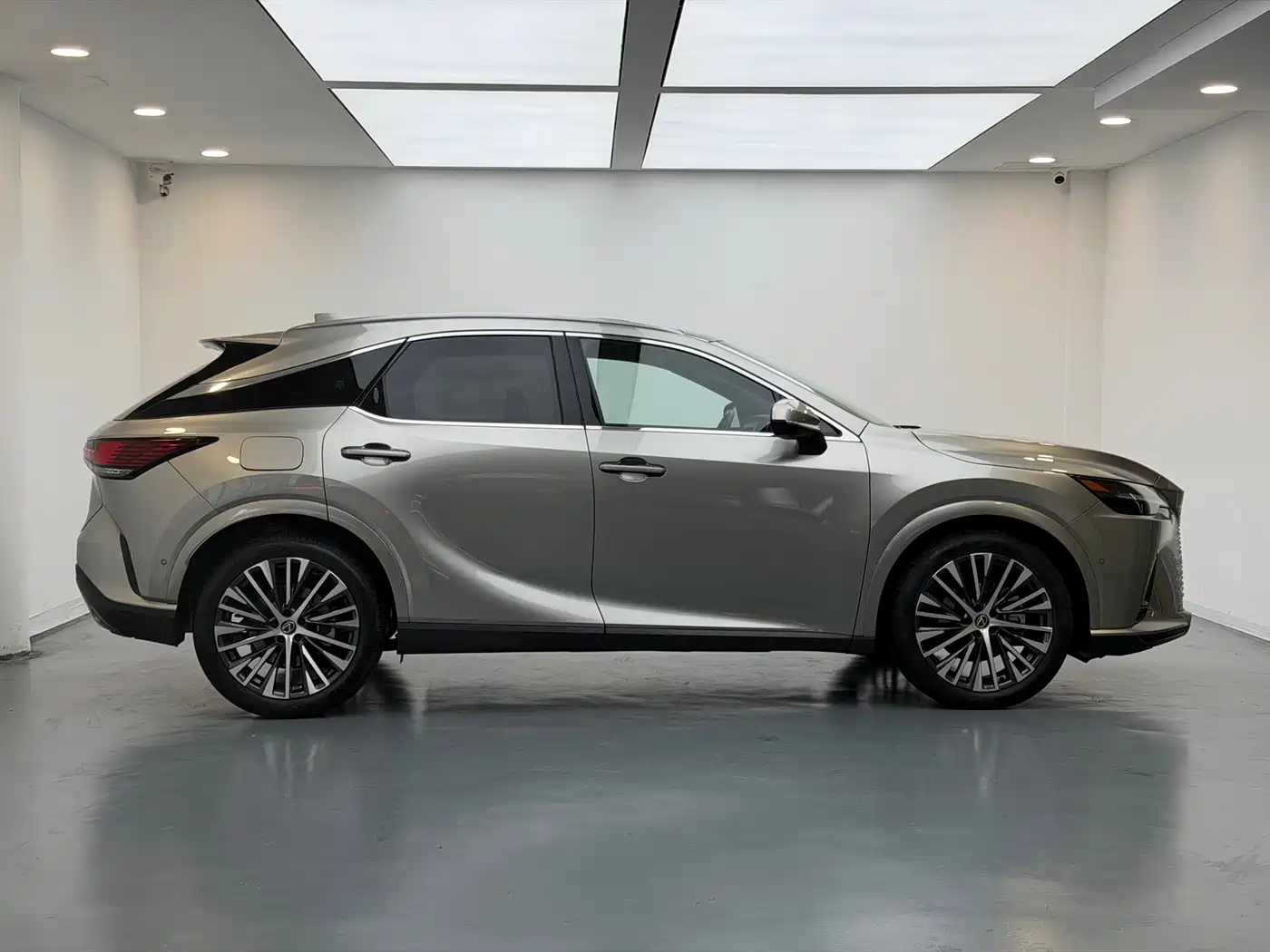 Lexus RX New Energy 2023 450h+ 4WD Enjoyment фото 4