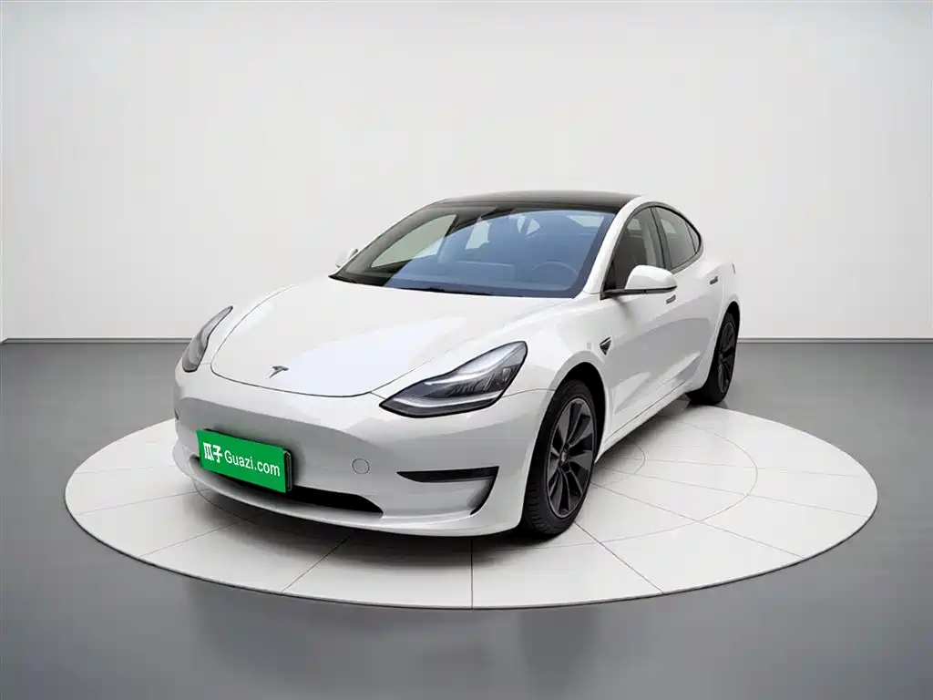 Tesla Model 3 (Import) 2019 2019 Long Range RWD Version