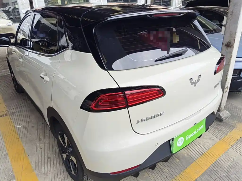 Wuling Motors Wuling Binguo PLUS 2025 2024 510km Range 5-seater