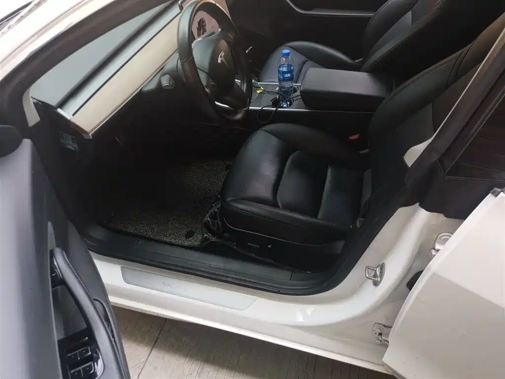 Tesla Model 3 (Import) 2019 2019 Long Range RWD Version