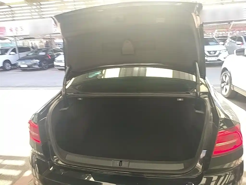 Volkswagen Magotan 2017 330TSI DSG Luxury фото 19